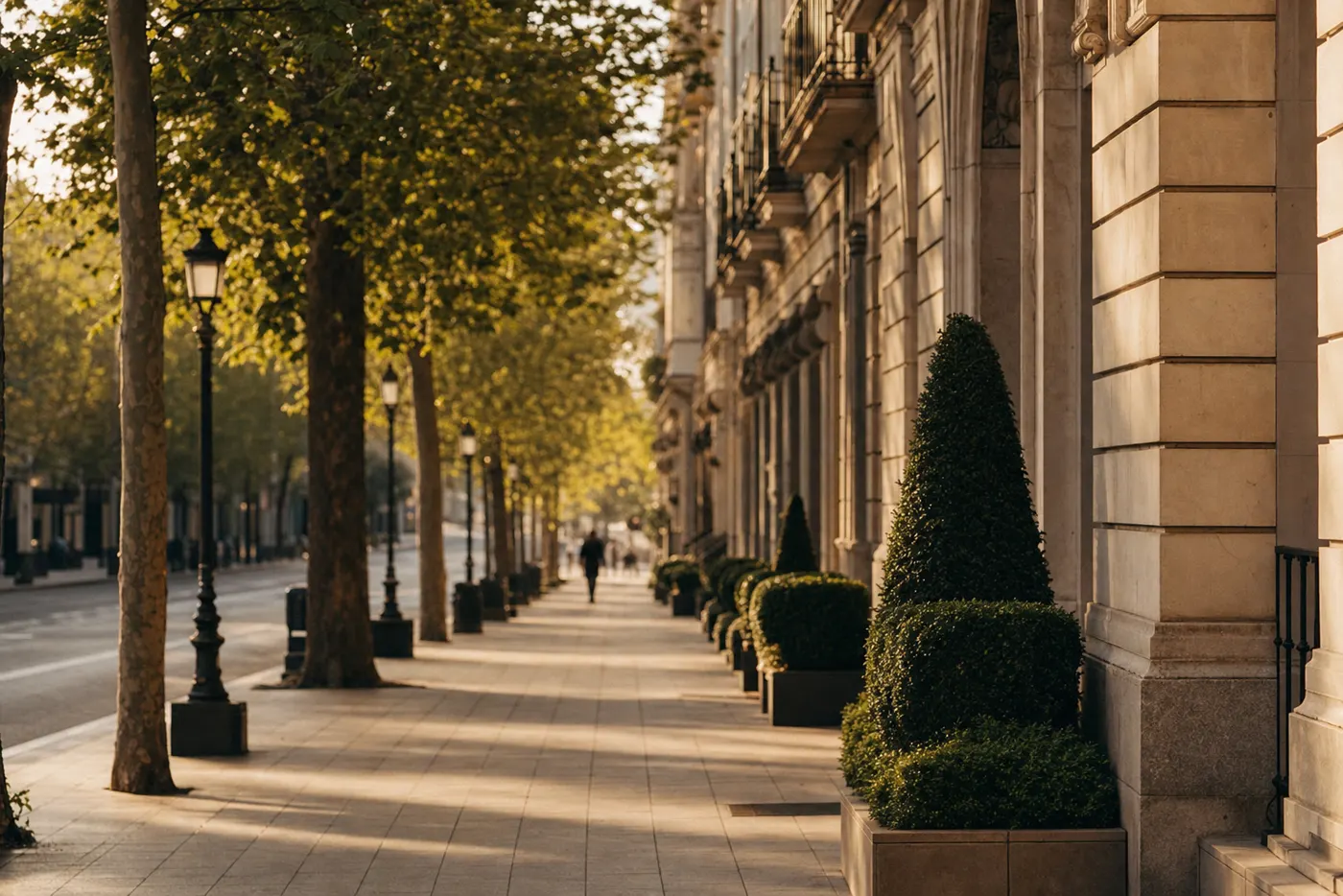 Calle arbolada del barrio de Salamanca, Madrid, España